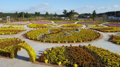 [주말에 가볼만한 곳] ‘백일홍’부터 생소한 ‘안젤로니아’까지! 9월 가을꽃축제🌼 goo.gl/Ja5SVj

🌼엄마를 위한 매거진, 맘스매거진🌼
#여행 #주말 #가족여행 #나들이 #꽃 #축제 #정보 #뉴스