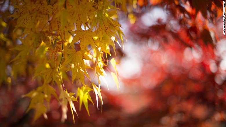 CNN's tweet image. It's the first day of fall! (In the northern hemisphere.) 5 fun facts about the season: cnn.it/2xmYsqc #AutumnEquinox