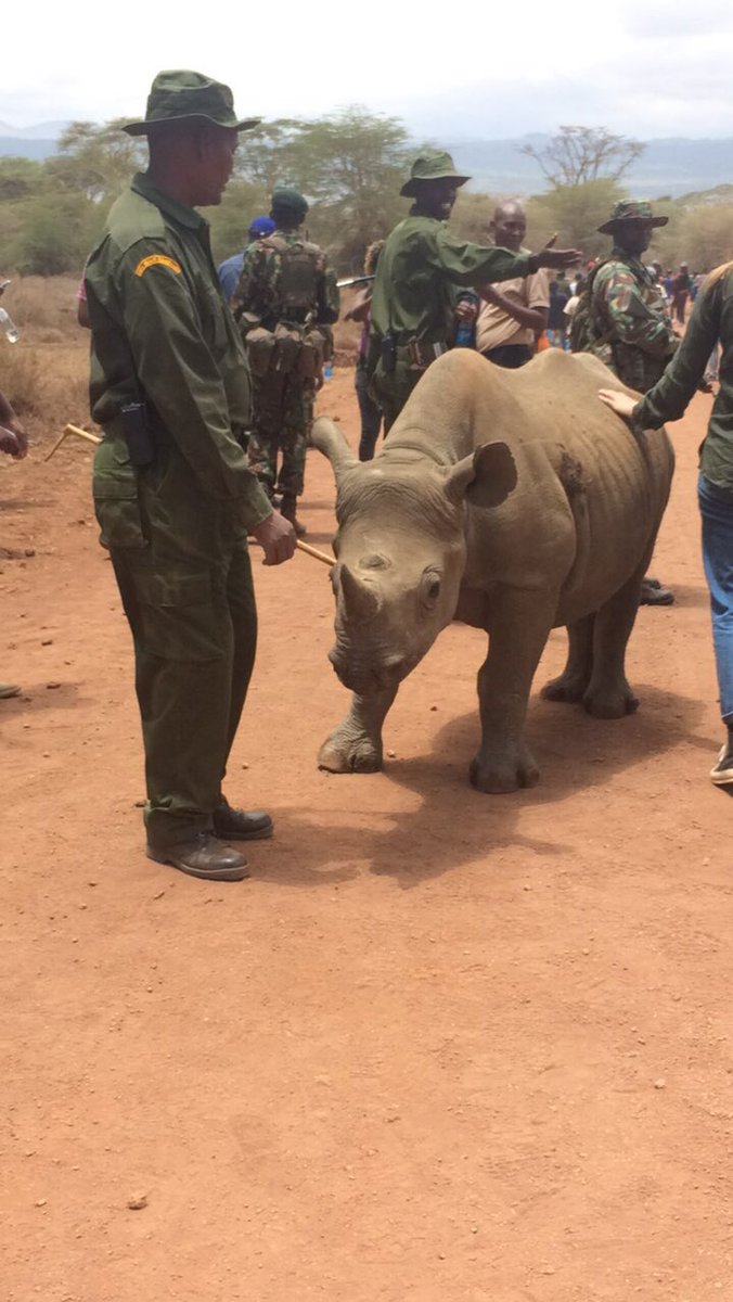tusk_org's tweet photo. Walking with @lewa_wildlife @nrt_kenya and @kwskenya for #WorldRhinoDay https://t.co/YpzeWxHJWQ