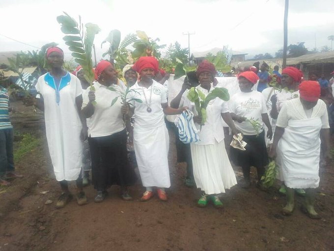 View image on Twitter View image on Twitter