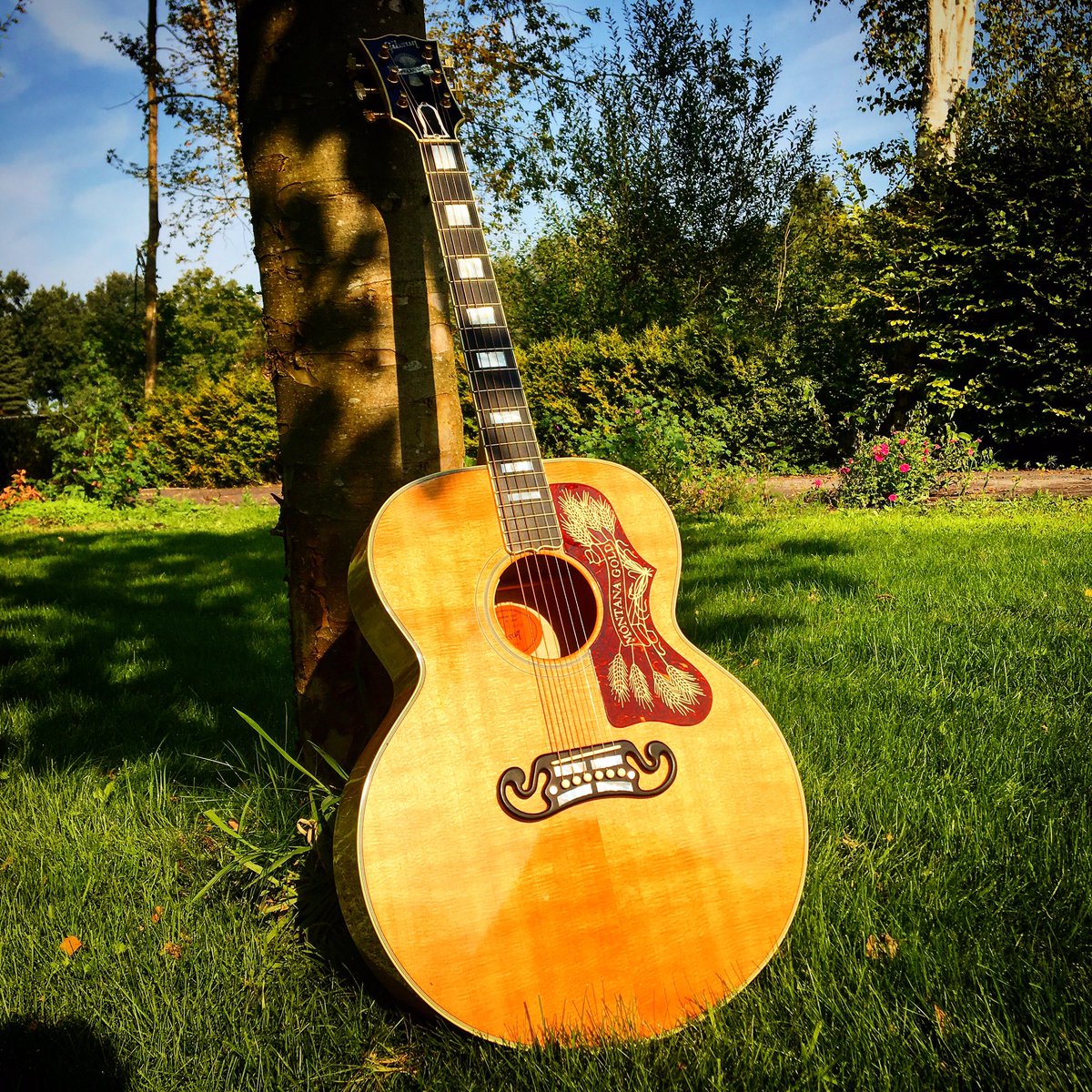 DanielLohues's tweet photo. Weer een liedje #nieuweLPmaken #septemberzon #Erica #vlier #gibson #montanagold https://t.co/fOd5WpTZXo