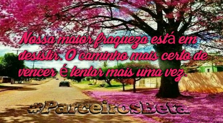 lidianacosta21's tweet image. #ParceirosBeta
@parceirosBeta