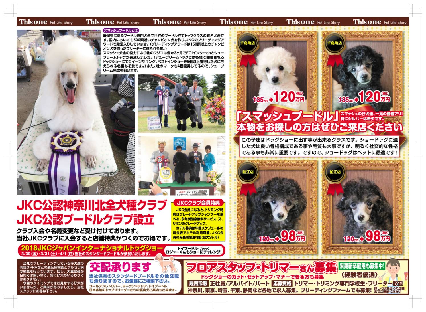 ペットショップ ディスワン若葉台店 明日から10月9日まで広告期間になります わんちゃんねこちゃんこの期間中の限定価格になります ぜひこの機会にご来店お待ちしております ディスワン ユニディ ホームセンター 広告 楽しみ 犬 猫 T