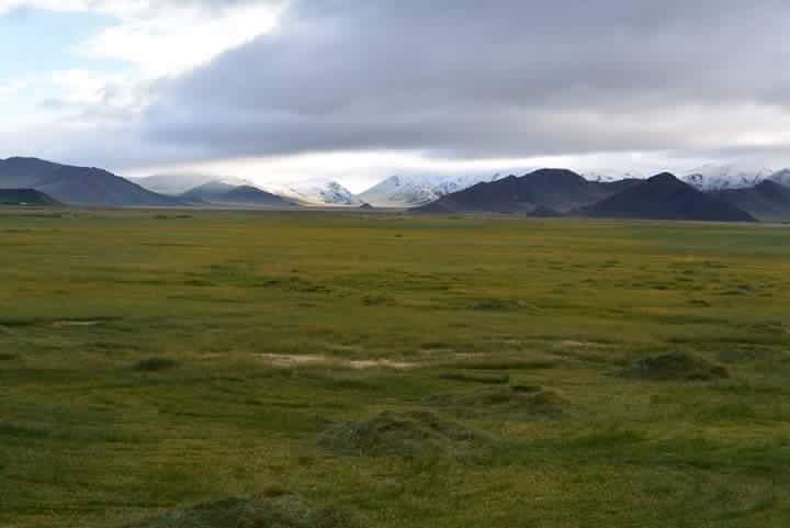 Сийлхэмийн нуруу