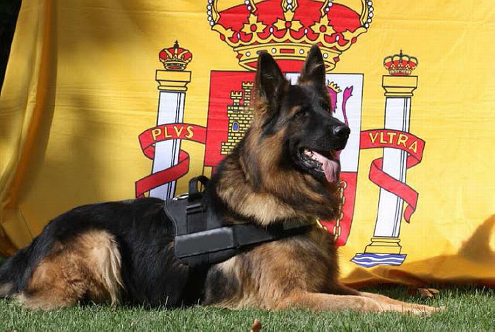 Alfredo Garcia (goja6782) Twitter