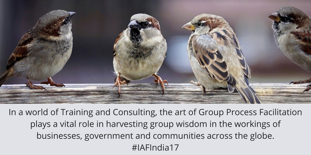 IAFIndiaOrg's tweet photo. Witness group process facilitation @ 4th IAF India Facilitators Conference 2017 Chennai, Nov 3-4, Crowne Plaza #facind #IAFIndia17 https://t.co/GqLTwsjvm6