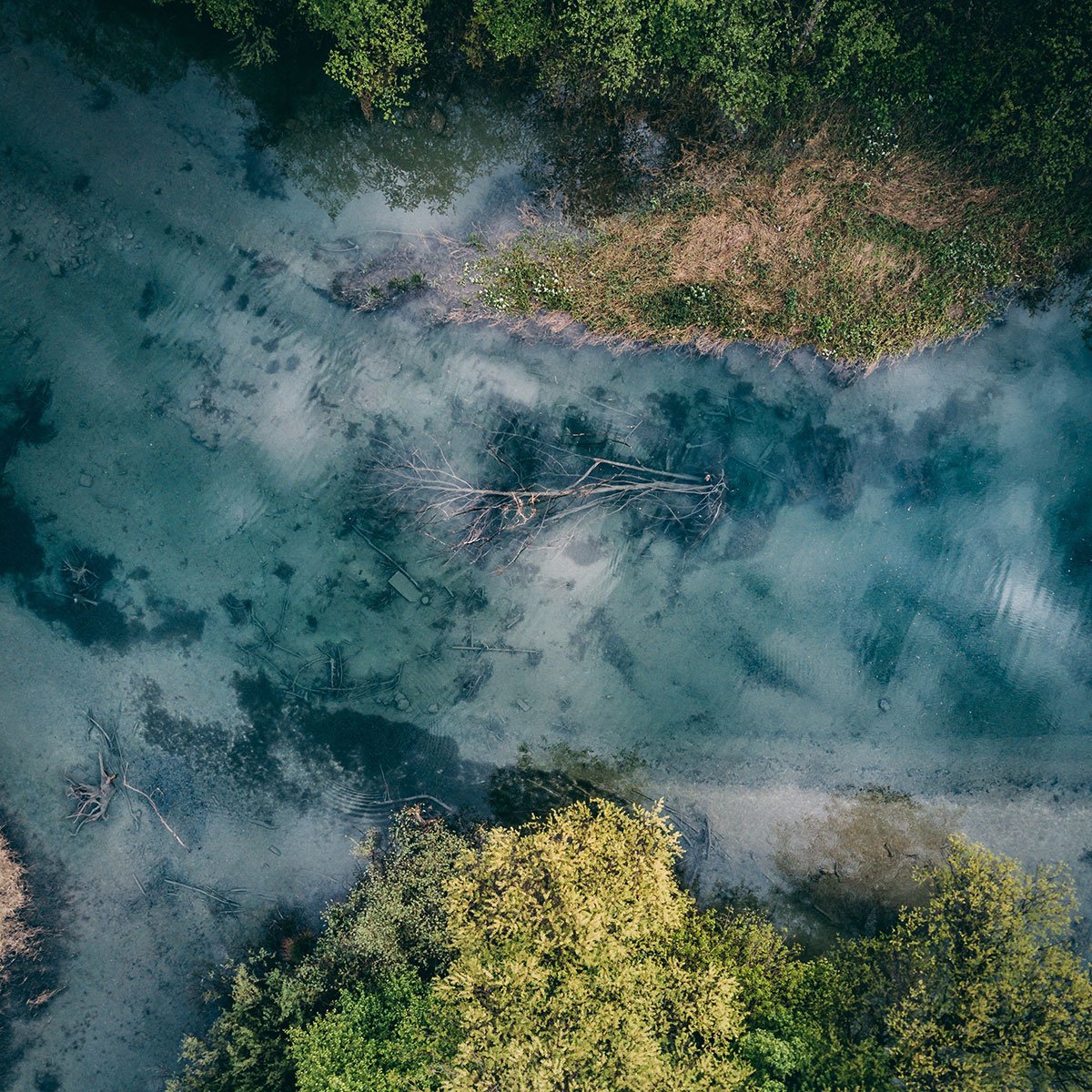 Rodenstock's tweet image. Patrick Langwallner, created the series #VisionsofBeauty of the fours elements, used for the original production of lenses.