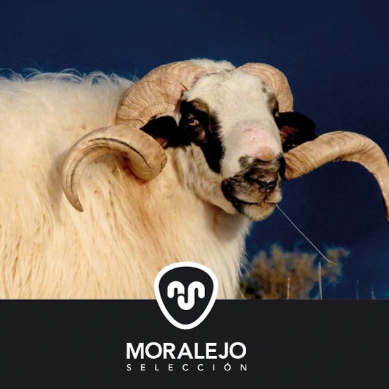 SeleccMoralejo photo