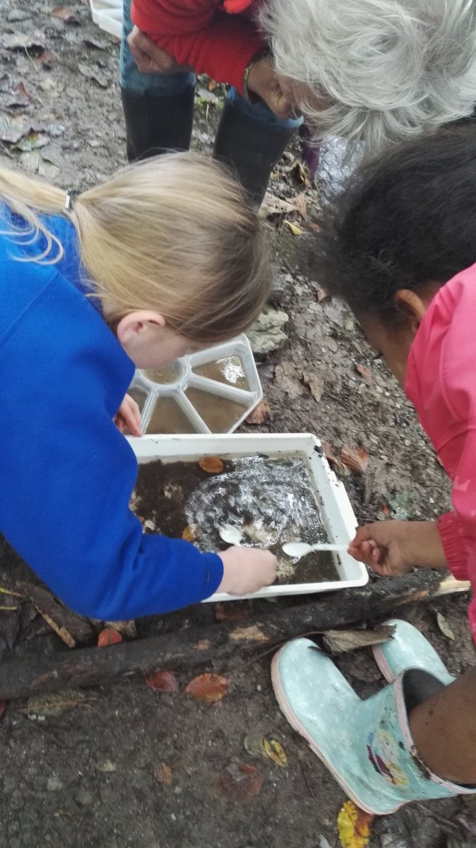 DASSH's tweet photo. A fun day in the office - at the Lee Bay #BioBlitz2017! Freshwater kick meet surveying with the kiddies @SealifeSurvey @thembauk #education https://t.co/GKwXlwMwHy