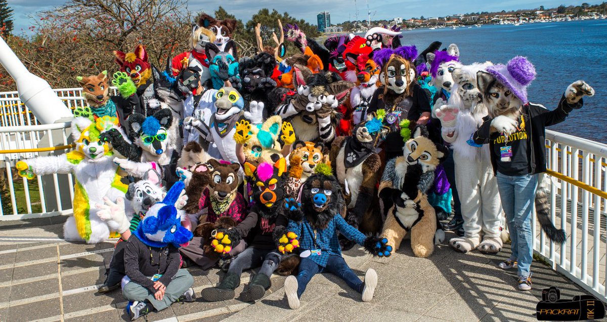 Inflatophin's tweet photo. Here's the main group photo from @WAFurFrenzy since it hasn't shown up on twitter yet - can you spot the phin? :3 #WAFF2017 #FursuitFriday https://t.co/Zfj49DNuLs