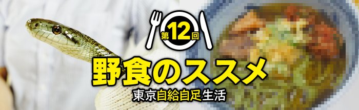 ジセダイ 最新回更新 本になりました 大人気連載 野食のススメ 東京自給自足生活 最新回です 第12回 野食の貴重な肉タンパク ヘビを美味しく食べる方法を考えてみた 茸本朗 Tetsuto W そして本連載 待望の書籍化です T ジセダイ 最新回更新 本になりました 大人気連載 野食のススメ 東京自給自足生活 最新回です 第12回 野食の貴重な肉タンパク ヘビを美味しく食べる方法を考えてみた 茸本朗 Tetsuto W そして本連載 待望の書籍化です T
