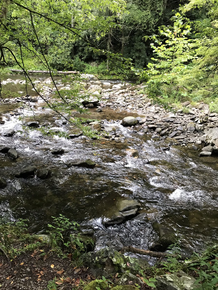 UsaflycoOrange's tweet photo. Got the #FridayFeeling hitting up #blueridge for a #birthday special gift 20% off new orders 🇺🇸 FLY CO https://t.co/B3xgmPApkQ #Flyfishing https://t.co/sbTTsr0GOI