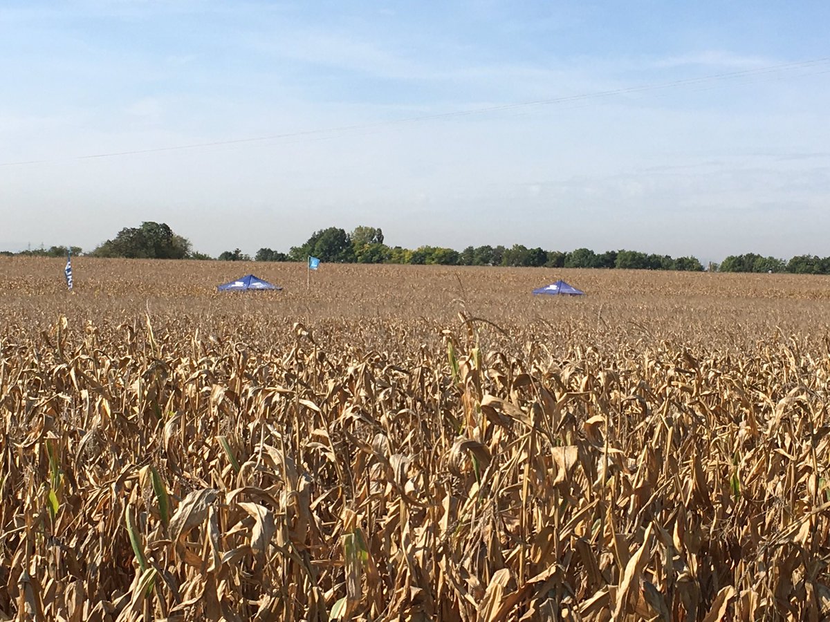 Une semaine de visites rondement menée sur notre plateforme Rhône-Alpes ! Présentation des variétés et des #innovations #Dekalb
