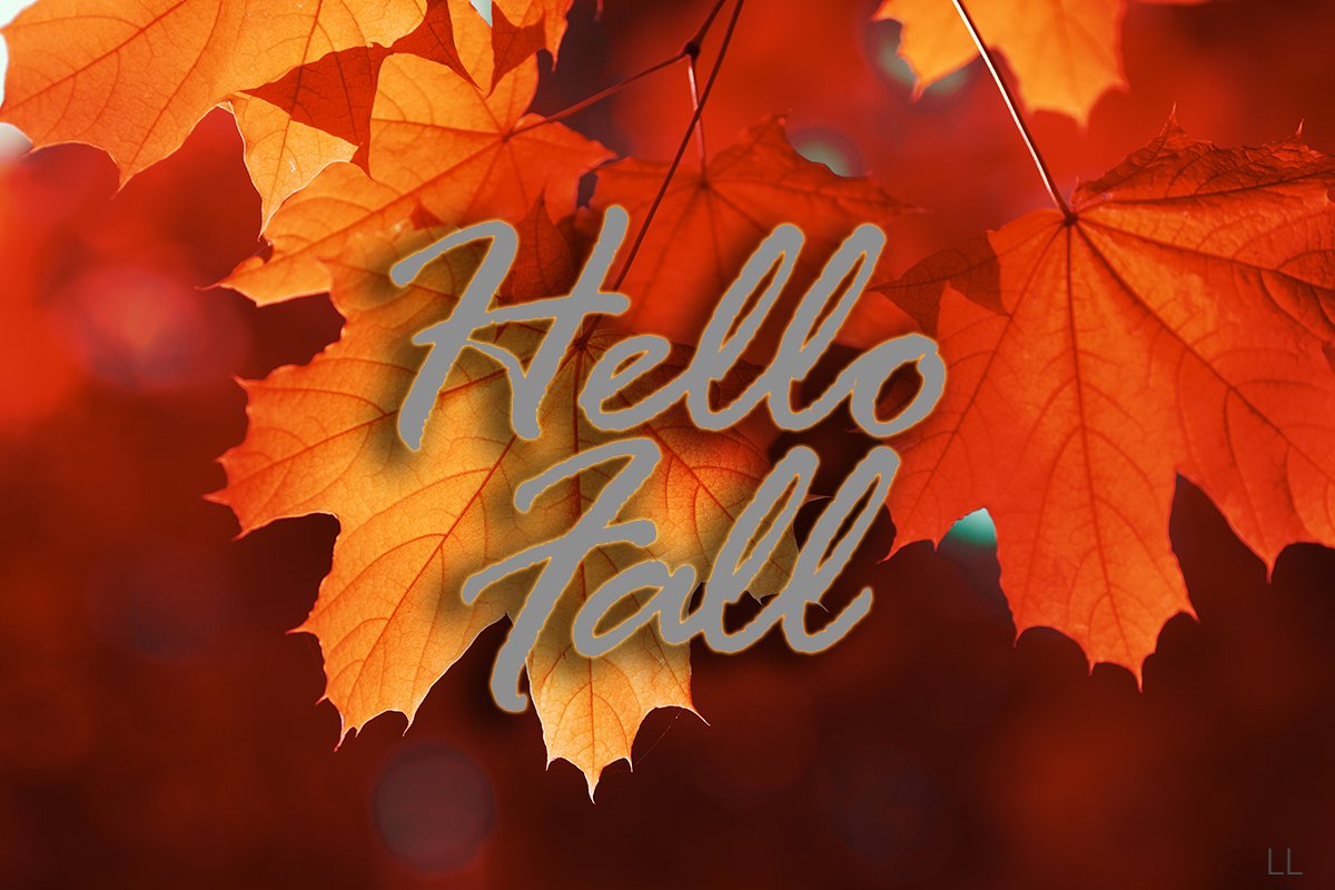 libertylakeapts's tweet photo. Hello Fall! Here's to the beautiful views, fuzzy socks, hot chocolate mugs, and autumn fun! πππ
#FirstDayofFall #autumn #fall #fallinBoise https://t.co/84xfCsavVH