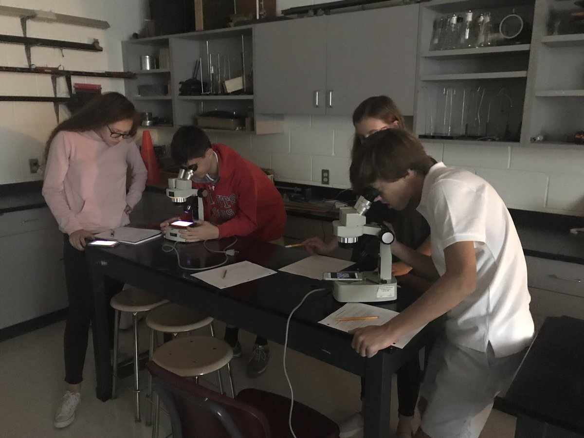 MsFusinaChem's tweet image. Investigating light and color lab ❤️💙💚💡 #Physics #PhysicsFirst #SaintsLearn