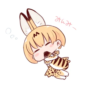 画像 / Picture