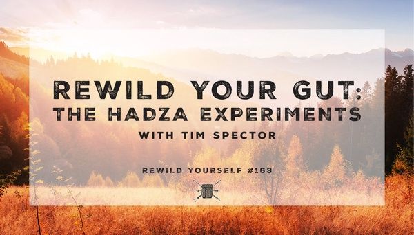 Amanda Archibald, RD tweet media