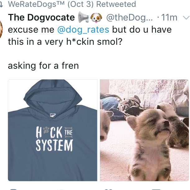 James The Dogvocate Excuse Me Dog Rates But Do U Have This In A Very H Ckin Smol Asking For A Fren