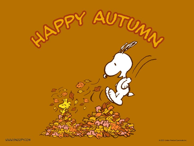 marylinnminor1's tweet photo. It's Autumn and time for the top job fair in #RVA @RVACareerExpo Oct. 13  100+ employers and 1,200 candidates #jobseekers #networking https://t.co/LU5AjYUSxF