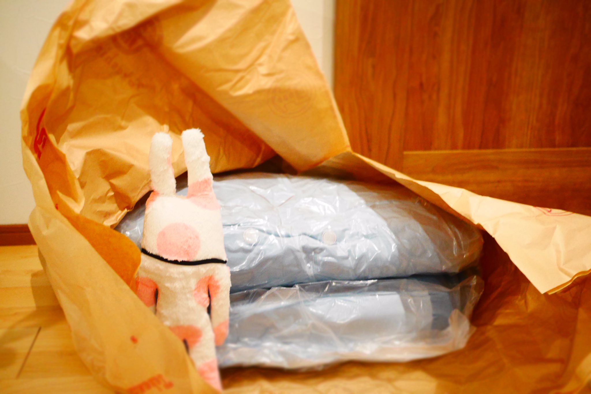 さわこ On Twitter 京都高島屋催事限定のもちもち寝そべりクッションlサイズ開封 ﾟ ﾟ クラフトホリック Craftholic もちもちクッション 京都高島屋限定 Https T Co Xxcix1kutp Twitter