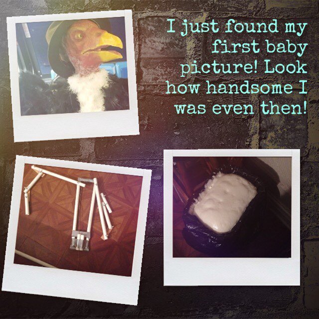 HedleyProd's tweet photo. I just found my first baby pictures! Look how handsome I was even then! 
@davethefxguy #cablecontrolled #animatronic #hedleythevulture https://t.co/cAHFDJFGL7