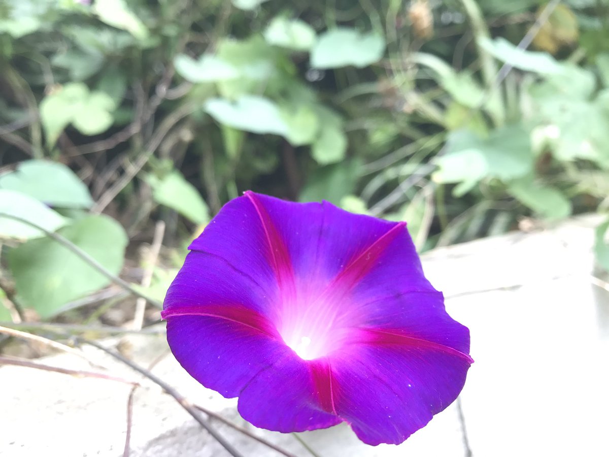 jillo_bd's tweet photo. #Mobile_click
#Iphone_7plus ✌️ https://t.co/bFcJxXw4eO