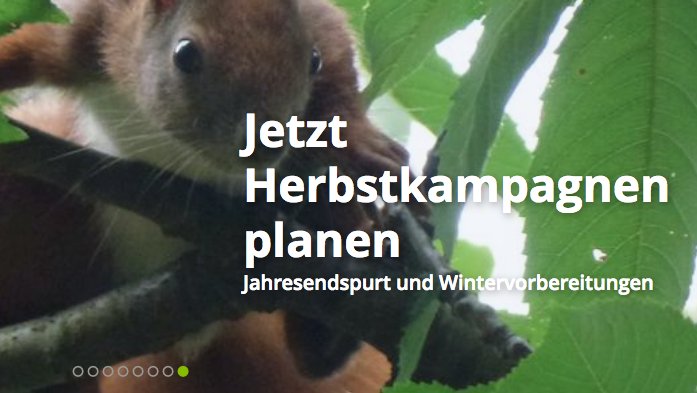 #Herbstanfang 🍃🍏🌽🍈 Starten Sie jetzt Ihre #Werbekampagnen 🎬 für das letzte Quartal 2017 #NeukundenAquise #crossmedia print-mailings.de