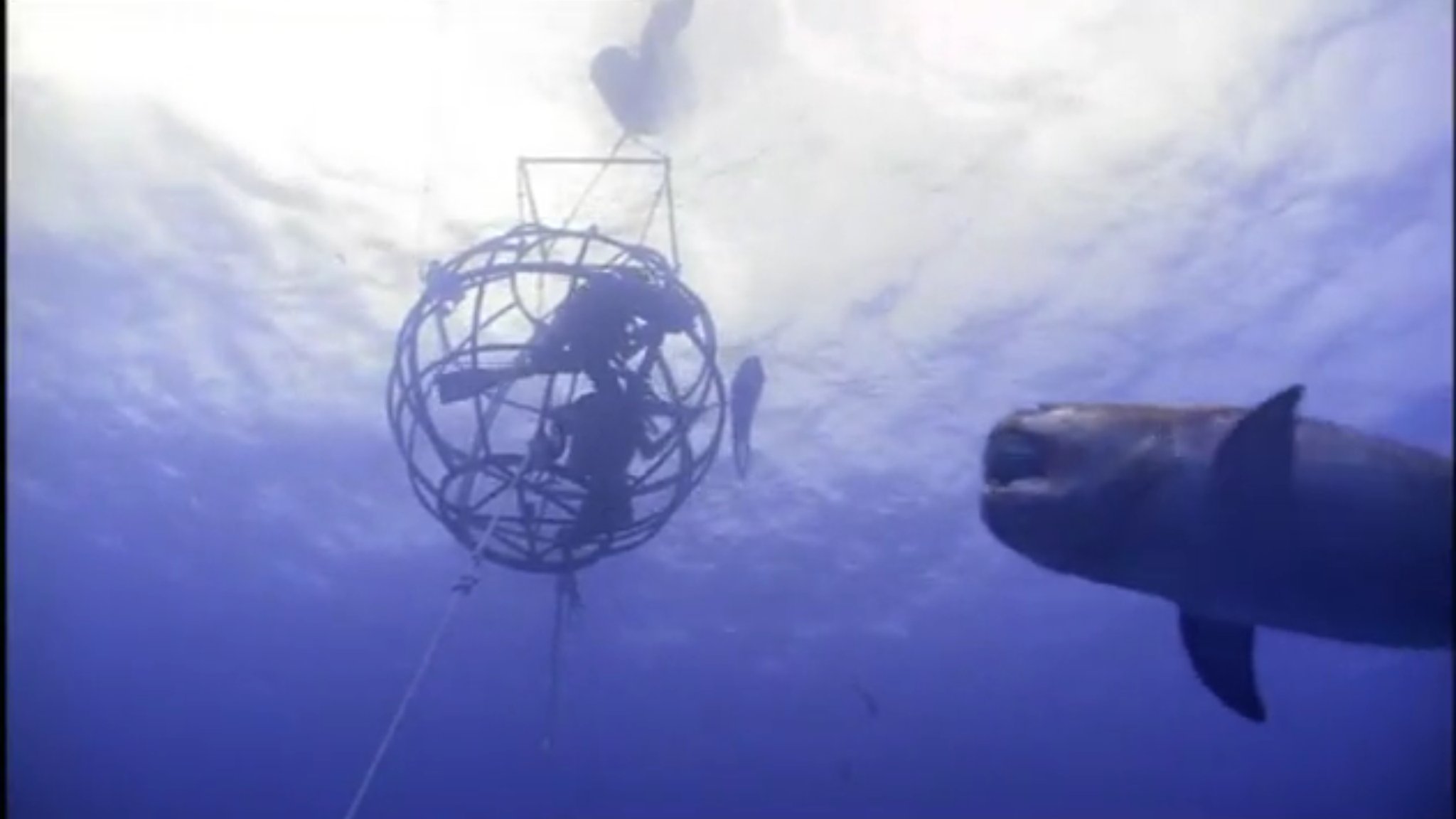 Nigelファン A Twitteren Seamonsters ジブリ 崖の上のポニョ Nigelmarven デボン紀 古代魚 金曜ロードショー 崖の上のポニョでは後半では絶滅したはずの古代魚が これらの古代魚たちはデボン紀の生き物たち デボン紀と言えば7 Nigelファン A Twitteren Seamonsters ジブリ 崖の上のポニョ Nigelmarven デボン紀 古代魚 金曜ロードショー 崖の上のポニョでは後半では絶滅したはずの古代魚が これらの古代魚たちはデボン紀の生き物たち デボン紀と言えば7