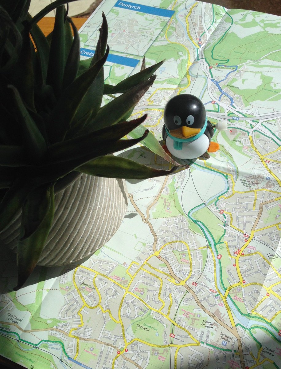 CDFCycleTours's tweet photo. Giant penguin spotted on the #taff trail. #bike #cardiffit #bikehire https://t.co/slnaxrBR0L