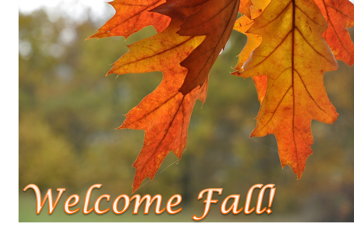 NWSBirmingham's tweet photo. The Autumnal Equinox occurs at 302 PM today, marking the beginning of astronomical fall! 🍂🍁🎃 #hellofall #doesntfeellikefall #alwx https://t.co/Knl9UcSiB3