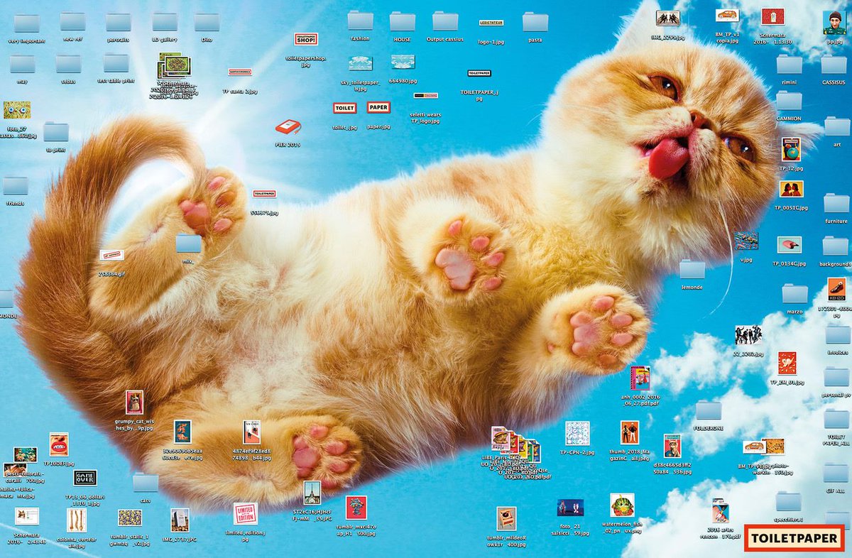 #Cats are taking over! This #ToiletPaper cover is super!