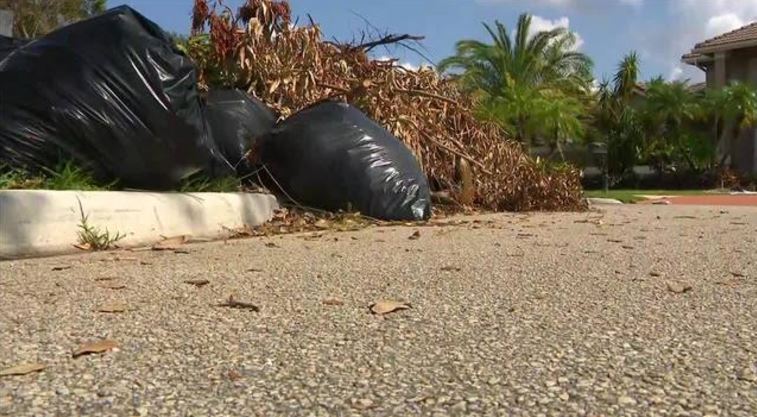 Irma debris removal stalemate won't be tolerated, Scott says bit.ly/2xmNmS5?utm_me… https://t.co/5ecaKZp1SX