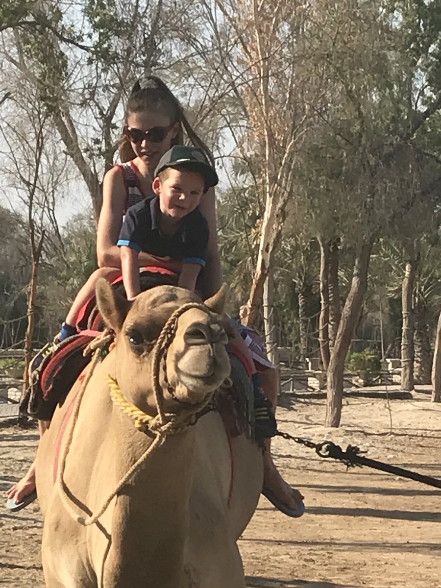 SteveLay5's tweet image. Camel rides at Al Areen Wild Life Park in #beautifulbahrain - kids loving every minute😊