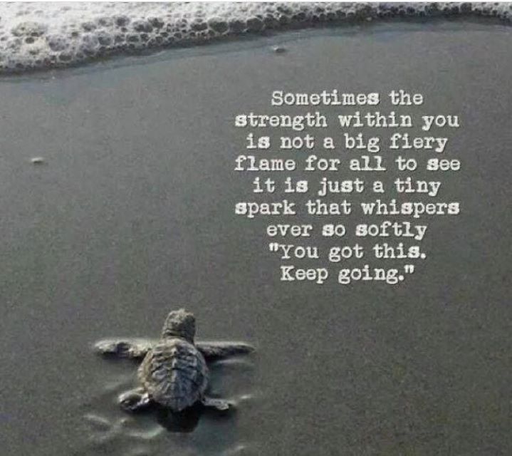 MrsSavilledmps's tweet photo. I got this. 🕯 https://t.co/6LnYnEqdMl