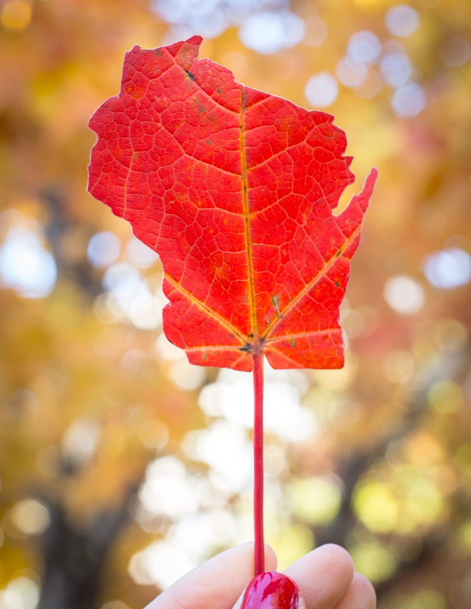 Happy #FirstDayOfFall 

Find the perfect places to see the brilliant colors with our official Fall Color Report: bit.ly/2wnoTd5