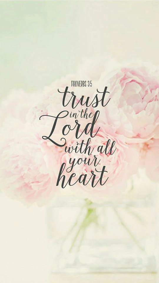 AmorMasumbol's tweet photo. 😇😇 https://t.co/n6kstDYMoB