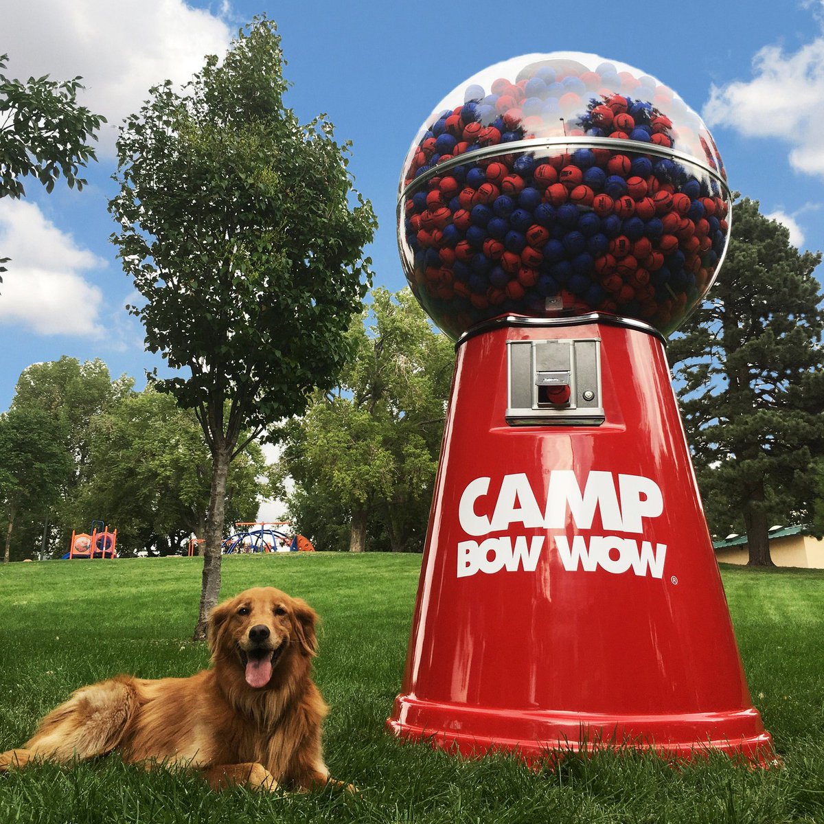 This weekend in CLE Shaker Heights Woollybear Festival Vermilion