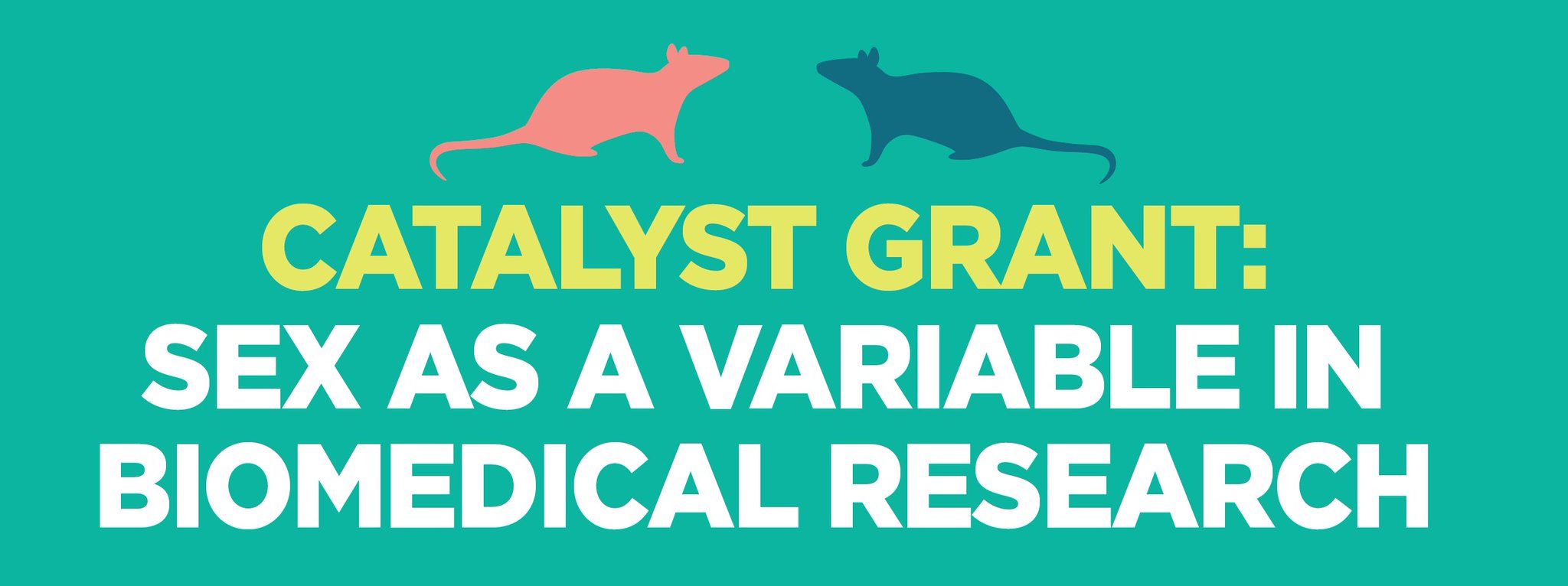 CIHR on Twitter "Catalyst Grant Sex as a Variable in Biomedical
