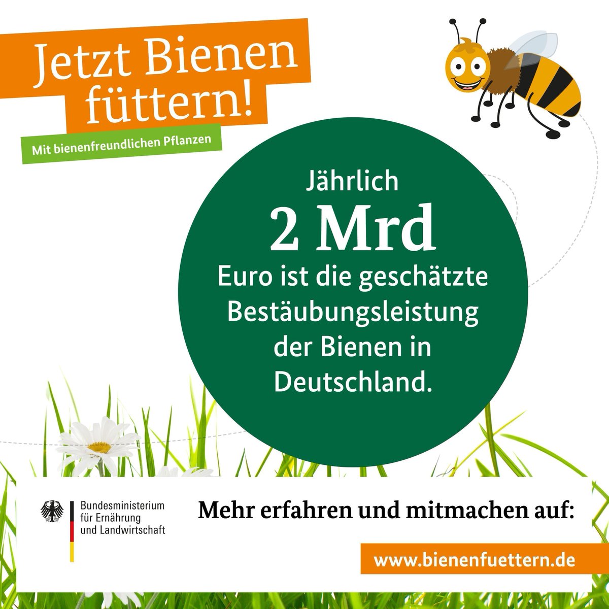 BMLEH_Bund's tweet photo. Auch im #Herbst sind #Bienen auf Futtersuche. Auch jetzt noch  #BienenFuettern #Balkon #Garten ⇨ www.bienenfuettern https://t.co/WICBFVPJHr