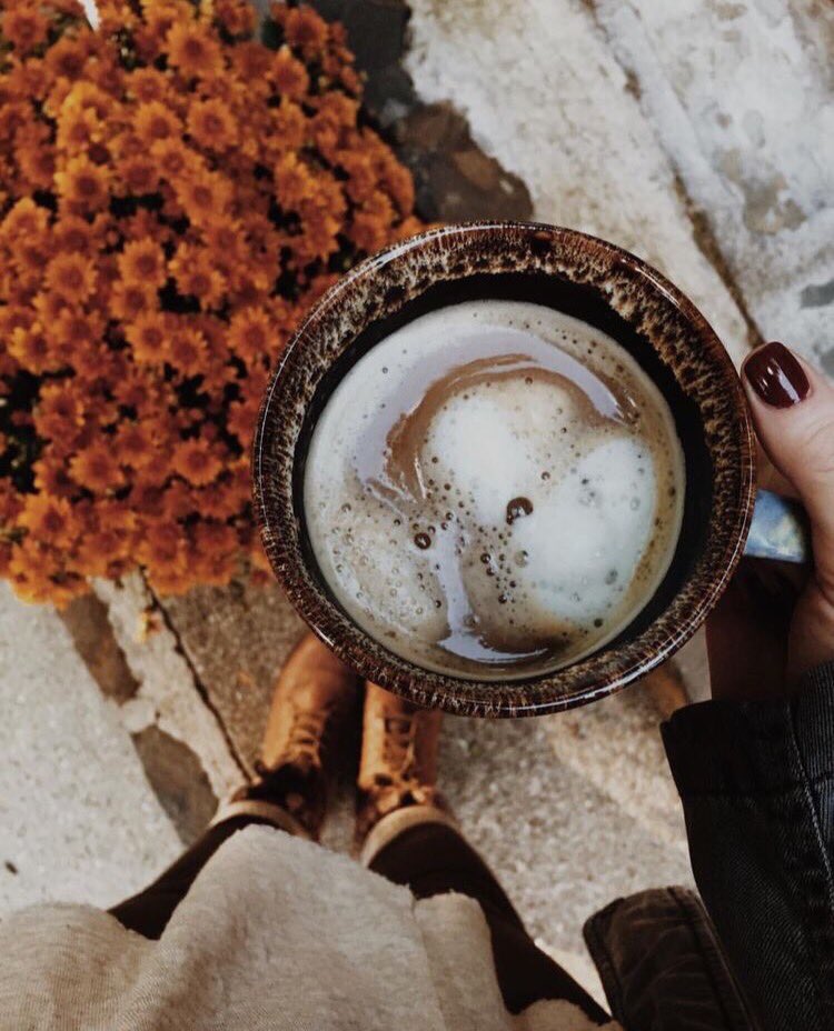 coffee_words's tweet photo. Happy #FirstDayofFall ! 🍂🍁🌰☕️ https://t.co/HkcScfPL5z