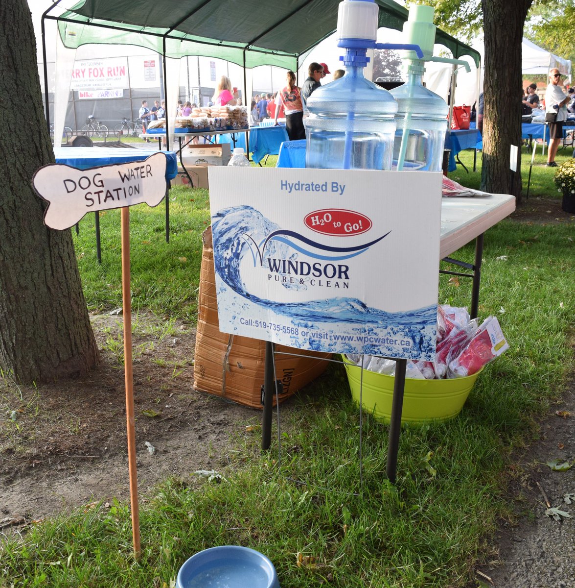WPClean's tweet image. When the @TerryFoxRunTec raises $100,000 that's great work.  Doing all that while drinking H2O To Go that's our honour. #yqg #TerryFoxRun