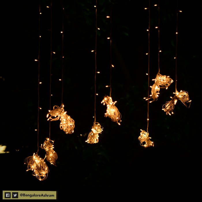 ArtofLivingIC's tweet photo. Shimmering lights hanging from the trees look stunning as we celebrate #Navratri2017 at the Center. https://t.co/VnPQRUJ6DB