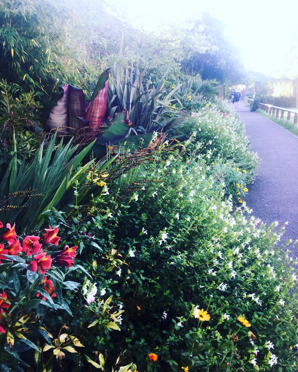 oaklandscollege's tweet photo. First day of Autumn? Looks beautiful at St Albans campus today - Team Horticulture are doing a great job! #AutumnEquinox https://t.co/LtKy98OL9n