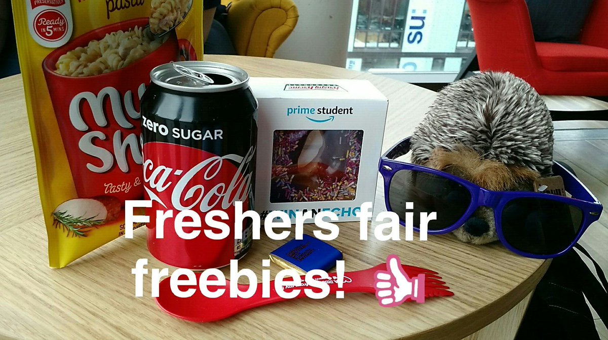 Kat__Bee's tweet photo. The best thing from @upsu @PlymUni Freshers Fair wasn't the pizza, but the cute hedgehog from supporting the RSPB! ( @Natures_Voice ) https://t.co/fd6yGZO94B
