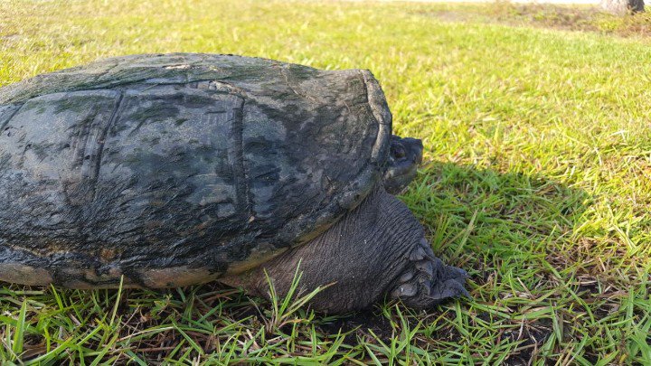 CHES STEAM Center tweet media