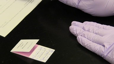 officialatcc's tweet photo. Human #celllineauthentication service utilizing STR profiling https://t.co/wqmbiSq9yo https://t.co/BD2GzXUYI5