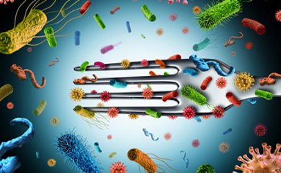 mpozit's tweet image. FOOD SAFETY NEWS: Antibiotic resistance, the food industry and animal agriculture... foodsafetynews.com/2017/08/antibi…