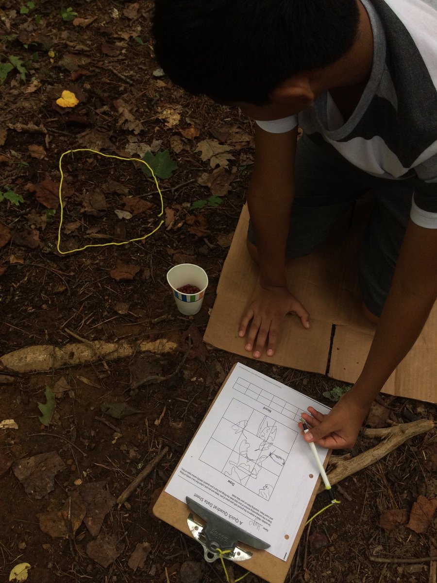 Timothy Heltzel tweet media