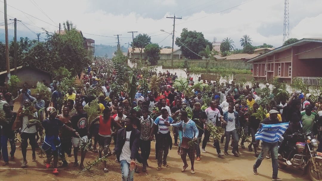 DenisForetia's tweet photo. Unprecedented... Massive protests in the English-speaking regions of #Cameroon as the crisis worsens. When will leaders starting listening? https://t.co/Ah5tYvznVj