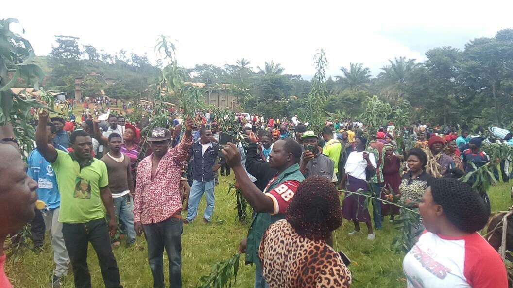 DenisForetia's tweet photo. Unprecedented... Massive protests in the English-speaking regions of #Cameroon as the crisis worsens. When will leaders starting listening? https://t.co/Ah5tYvznVj